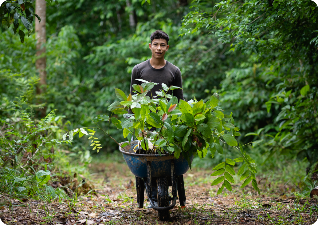 Z6·尊龙「中国」官方网站